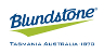Blundstone Boots
